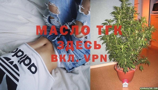 мдпв Богородск