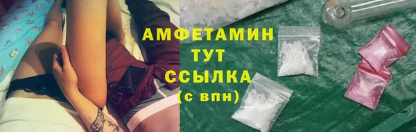 гашик Богданович