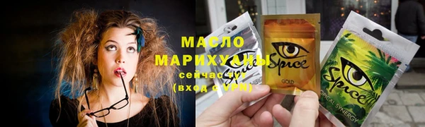мдпв Богородск