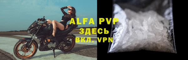 гашик Богданович