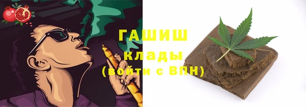 мдпв Богородск
