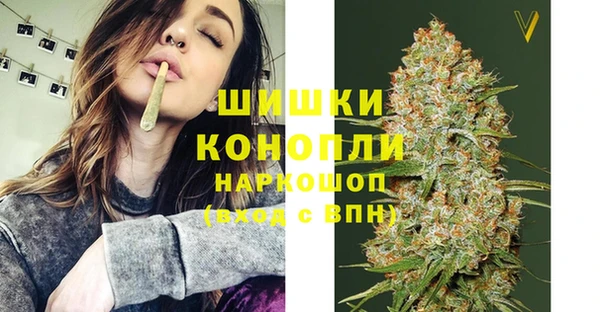 гашик Богданович