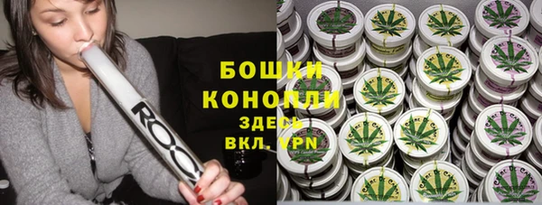 гашик Богданович