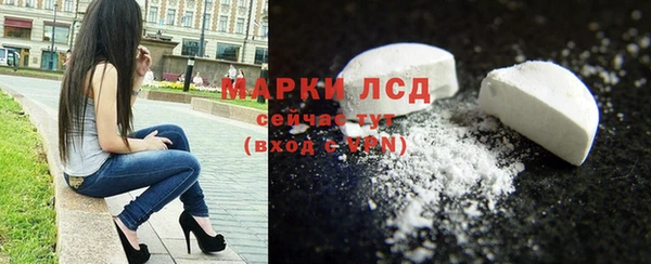 гашик Богданович