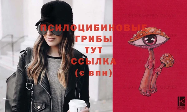 гашик Богданович