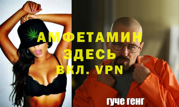 мдпв Богородск