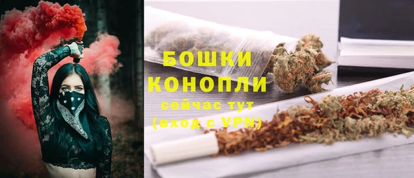 гашик Богданович