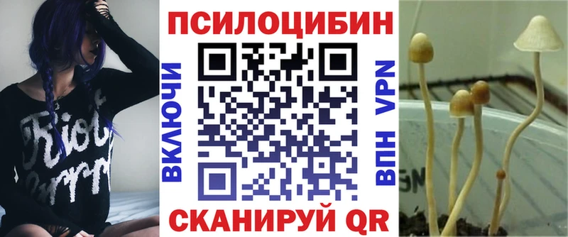 Купить где  Фокино  Галлюциногенные грибы ЛСД 